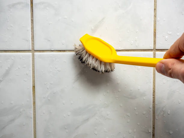 Best Certified Mold Removal  in Auburn Lake Trails, CA