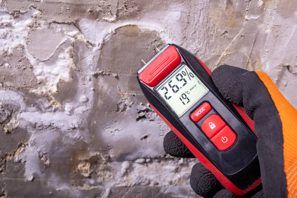 Best Residential Mold Removal  in Auburn Lake Trails, CA