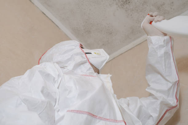 Best Emergency Mold Removal  in Auburn Lake Trails, CA