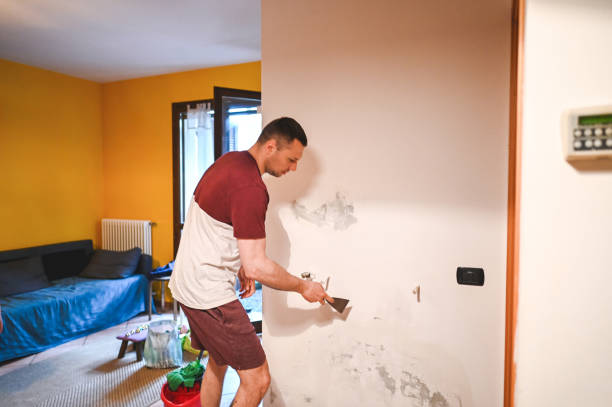 Best Affordable Mold Removal  in Auburn Lake Trails, CA